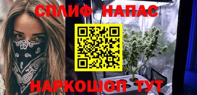 МДПВ Новодвинск