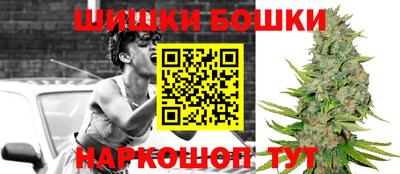 МДПВ Новодвинск